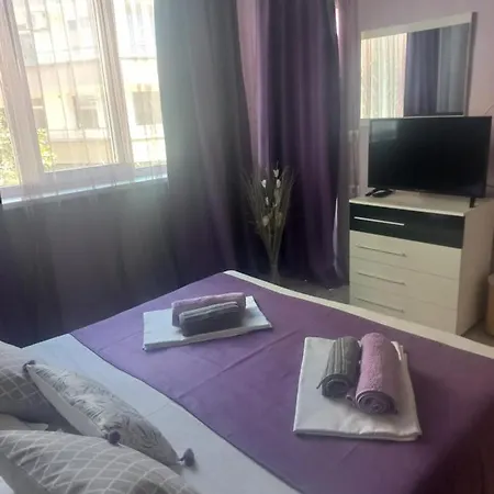 게스트하우스 Dani 포마리